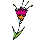 flower_4